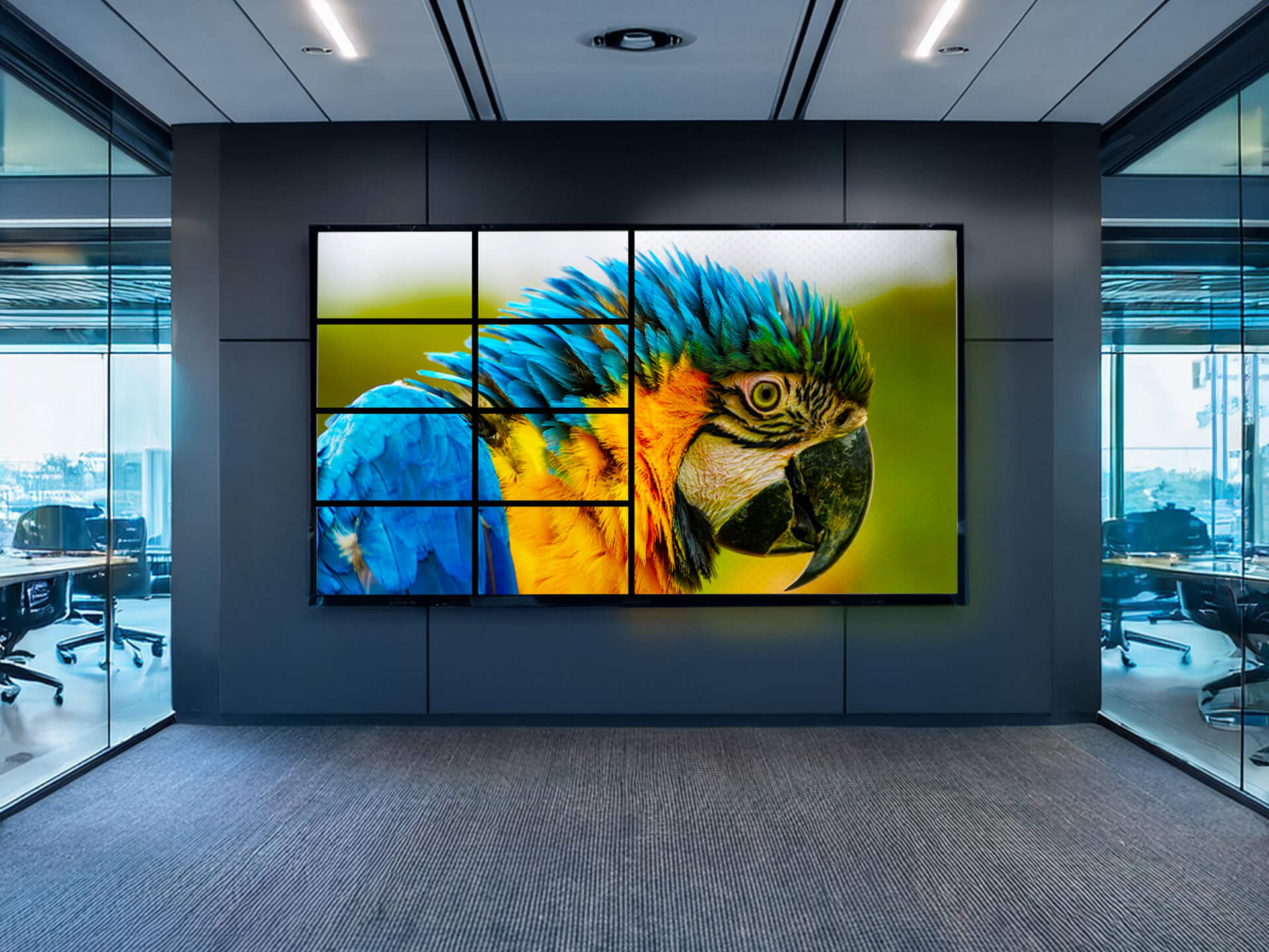 Professional videowall display installation